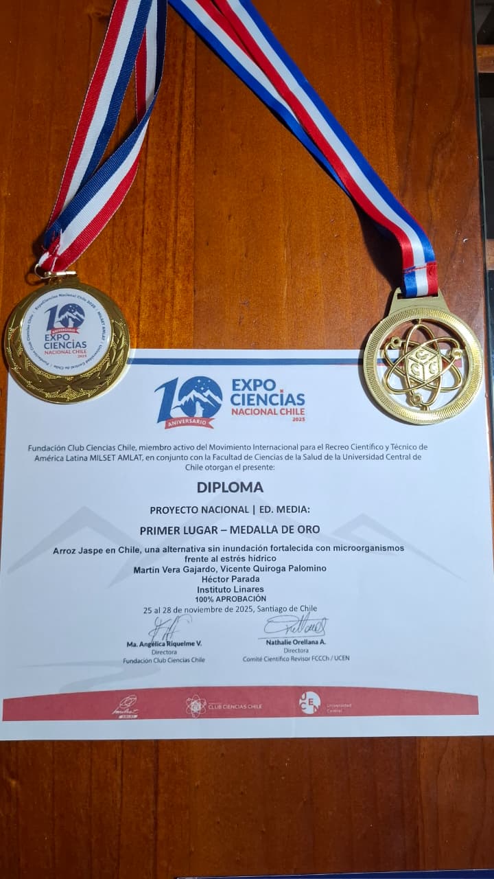Diploma y medallas