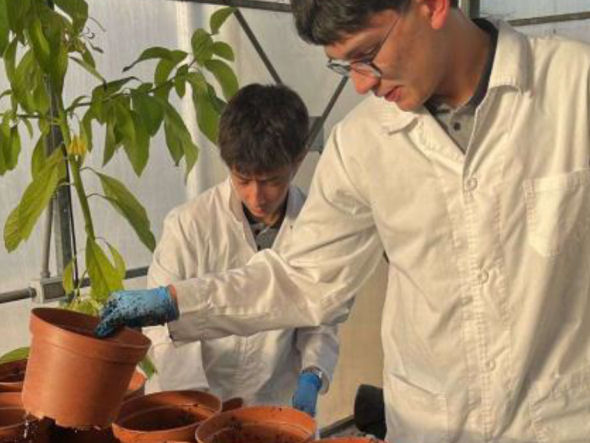 ExpoCiencias 1